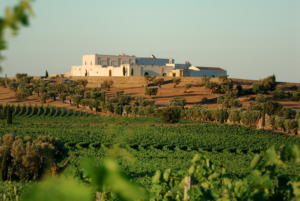 Masseria pugliese tra i vigneti