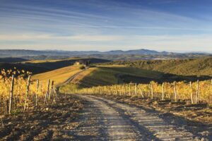 Colline toscane